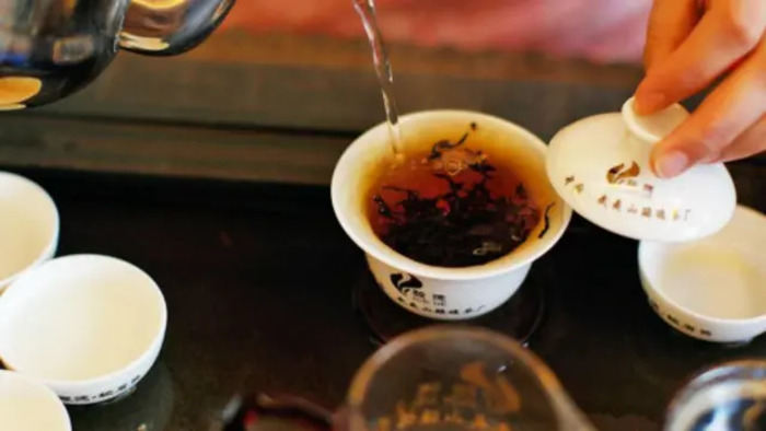 高山茶精选